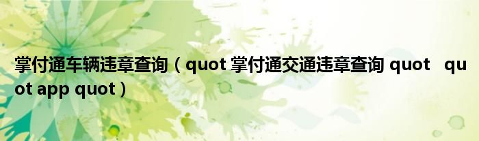 掌付通车辆违章查询【quot 掌付通交通违章查询 quot   quot app quot】