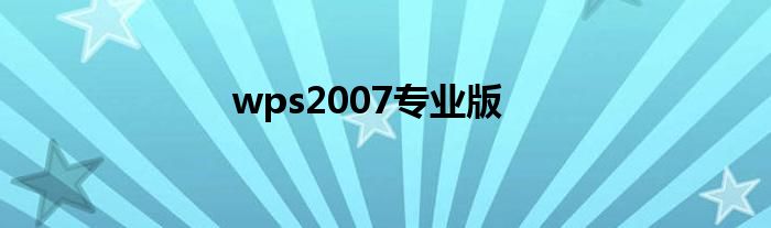 wps2007专业版