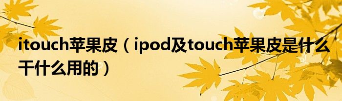 itouch苹果皮【ipod及touch苹果皮是什么干什么用的】