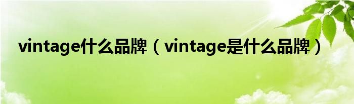 vintage什么品牌【vintage是什么品牌】