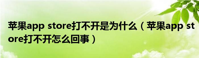 苹果app store打不开是为什么【苹果app store打不开怎么回事】