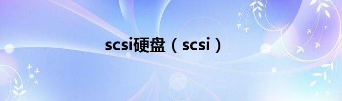 scsi硬盘【scsi】