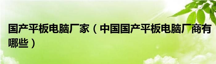 国产平板电脑厂家【中国国产平板电脑厂商有哪些】