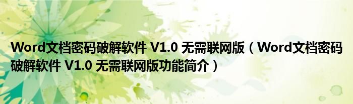 Word文档密码破解软件 V1.0 无需联网版【Word文档密码破解软件 V1.0 无需联网版功能简介】