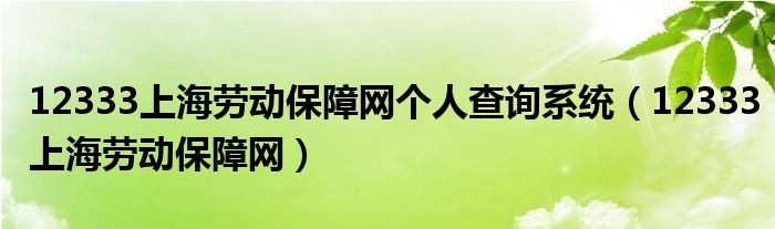 12333上海劳动保障网个人查询系统【12333上海劳动保障网】