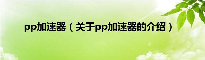 pp加速器【关于pp加速器的介绍】