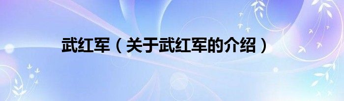 武红军【关于武红军的介绍】