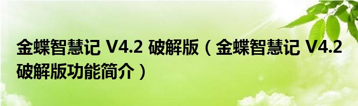 金蝶智慧记 V4.2 破解版【金蝶智慧记 V4.2 破解版功能简介】