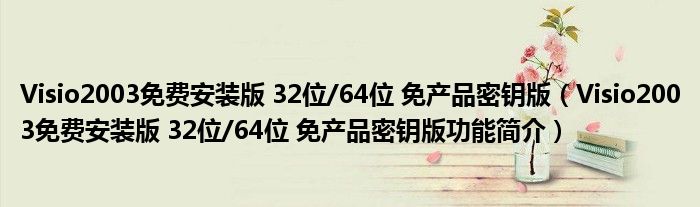 Visio2003免费安装版 32位/64位 免产品密钥版【Visio2003免费安装版 32位/64位 免产品密钥版功能简介】