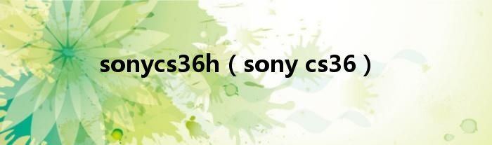 sonycs36h【sony cs36】