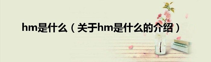 hm是什么【关于hm是什么的介绍】