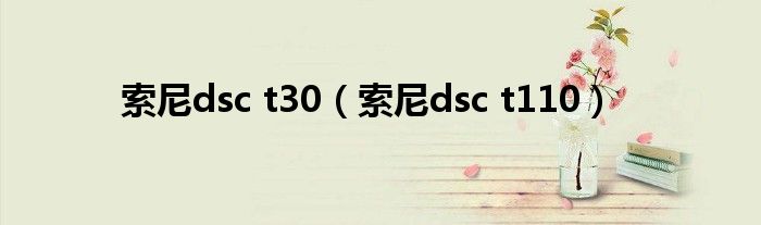 索尼dsc t30【索尼dsc t110】