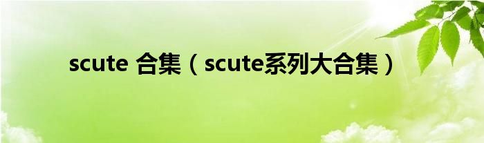 scute 合集【scute系列大合集】