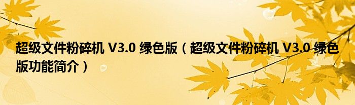 超级文件粉碎机 V3.0 绿色版【超级文件粉碎机 V3.0 绿色版功能简介】