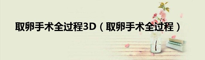 取卵手术全过程3D【取卵手术全过程】