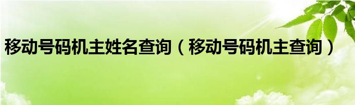 移动号码机主姓名查询【移动号码机主查询】