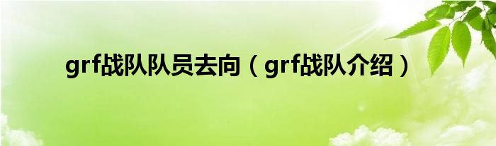 grf战队队员去向【grf战队介绍】