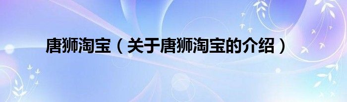 唐狮淘宝【关于唐狮淘宝的介绍】