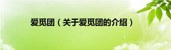 爱觅团【关于爱觅团的介绍】