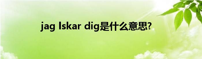 jag lskar dig是什么意思?