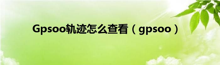 Gpsoo轨迹怎么查看【gpsoo】