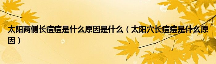 太阳两侧长痘痘是什么原因是什么【太阳穴长痘痘是什么原因】