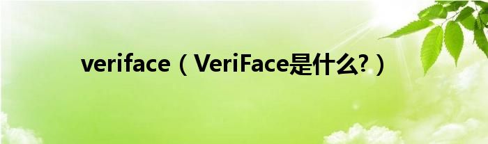 veriface【VeriFace是什么?】