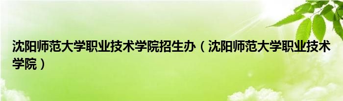 沈阳师范大学职业技术学院招生办【沈阳师范大学职业技术学院】