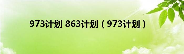 973计划 863计划【973计划】