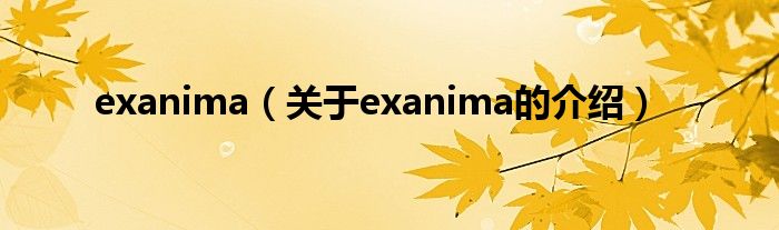 exanima【关于exanima的介绍】