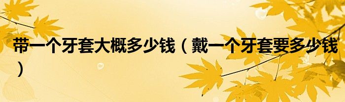 带一个牙套大概多少钱【戴一个牙套要多少钱】