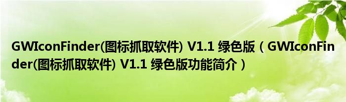 GWIconFinder(图标抓取软件) V1.1 绿色版【GWIconFinder(图标抓取软件) V1.1 绿色版功能简介】