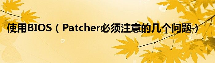 使用BIOS【Patcher必须注意的几个问题】