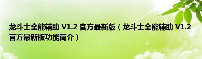 龙斗士全能辅助 V1.2 官方最新版【龙斗士全能辅助 V1.2 官方最新版功能简介】