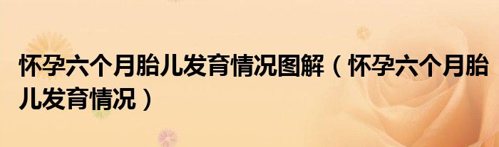 怀孕六个月胎儿发育情况图解【怀孕六个月胎儿发育情况】