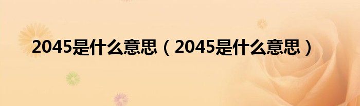 2045是什么意思【2045是什么意思】