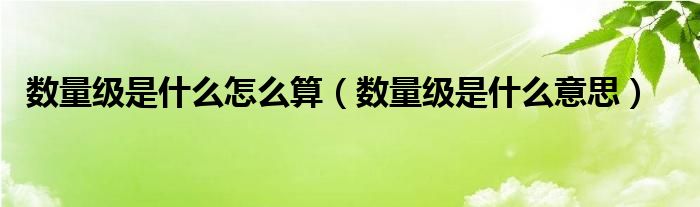 数量级是什么怎么算【数量级是什么意思】