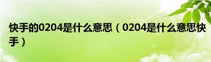 快手的0204是什么意思【0204是什么意思快手】