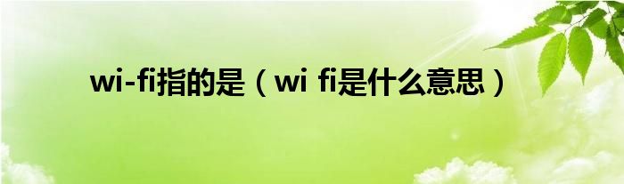 wi-fi指的是【wi fi是什么意思】