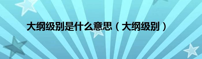 大纲级别是什么意思【大纲级别】