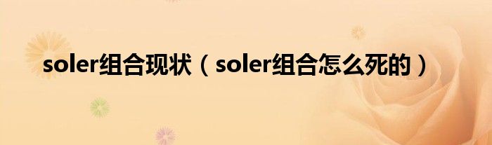 soler组合现状【soler组合怎么死的】