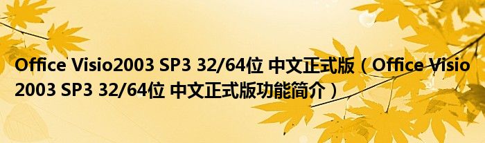 Office Visio2003 SP3 32/64位 中文正式版【Office Visio2003 SP3 32/64位 中文正式版功能简介】