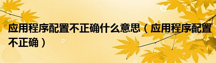 应用程序配置不正确什么意思【应用程序配置不正确】