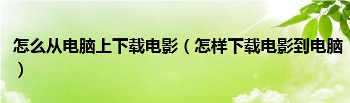 怎么从电脑上下载电影【怎样下载电影到电脑】