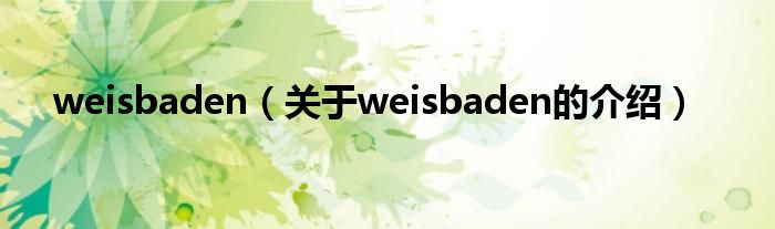 weisbaden【关于weisbaden的介绍】