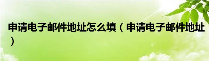 申请电子邮件地址怎么填【申请电子邮件地址】