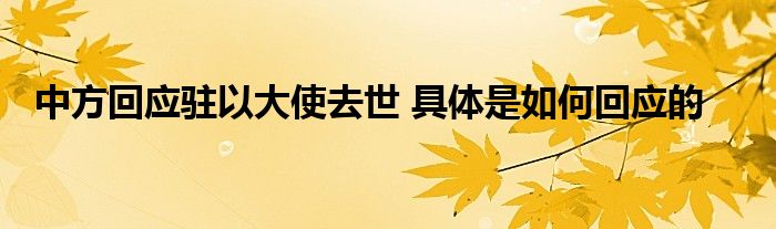 中方回应驻以大使去世 具体是如何回应的