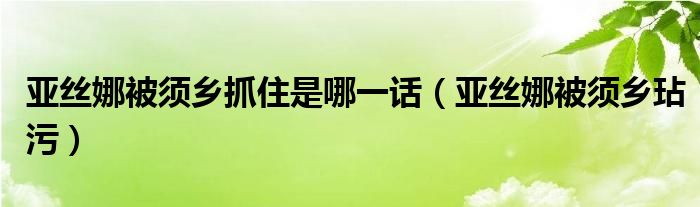 亚丝娜被须乡抓住是哪一话【亚丝娜被须乡玷污】