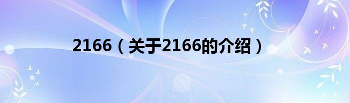 2166【关于2166的介绍】