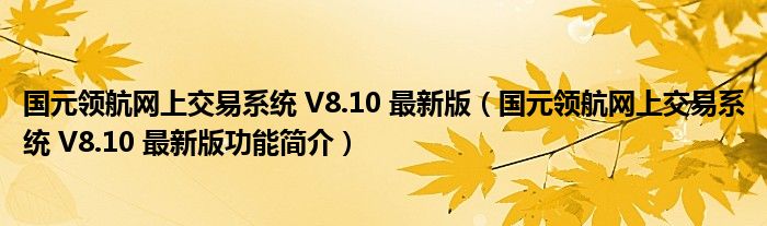 国元领航网上交易系统 V8.10 最新版【国元领航网上交易系统 V8.10 最新版功能简介】